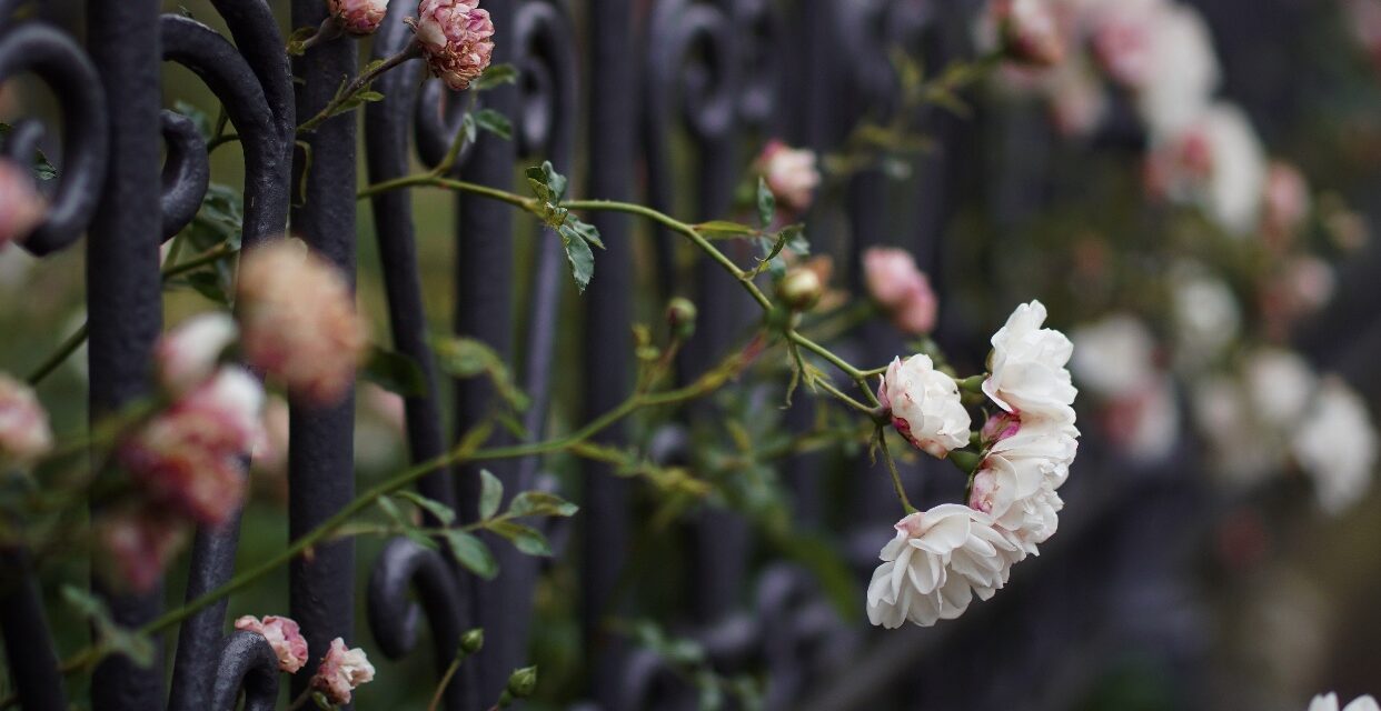 You Can’t Change The Seasons