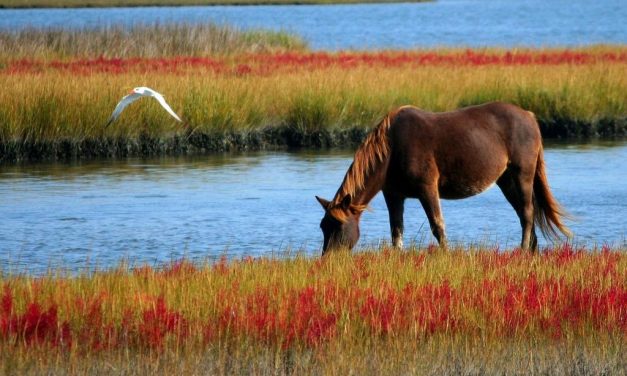 The Source of Life: God’s Living Water