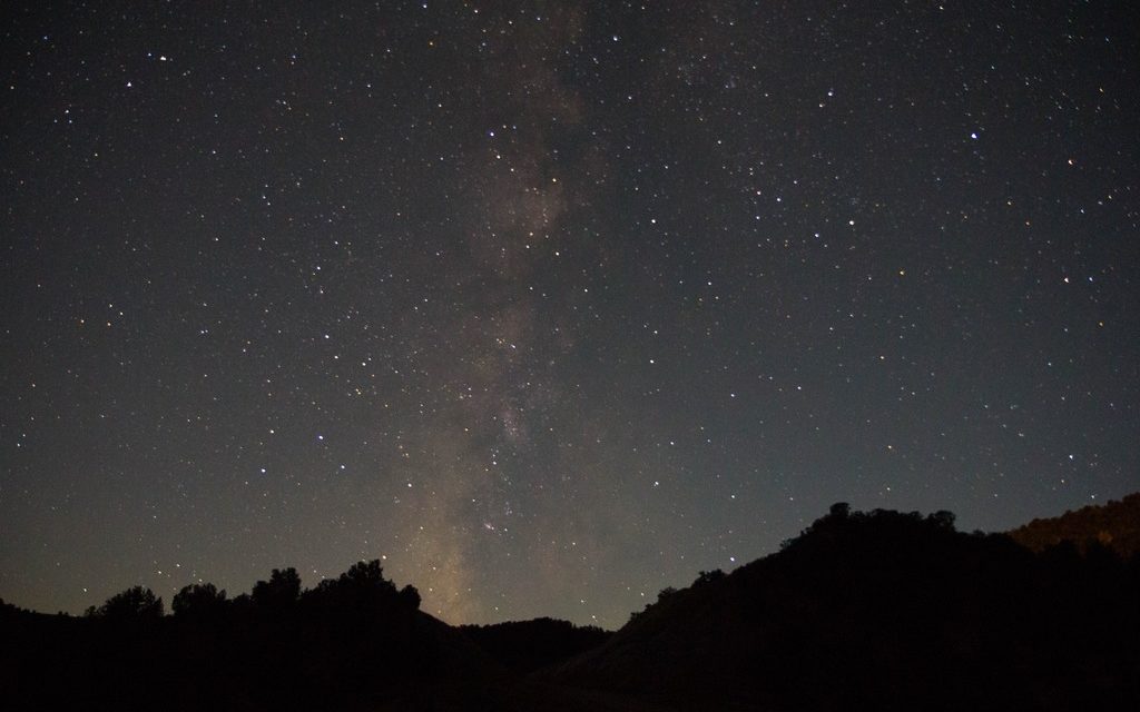 In My Anguish, I Will Praise You