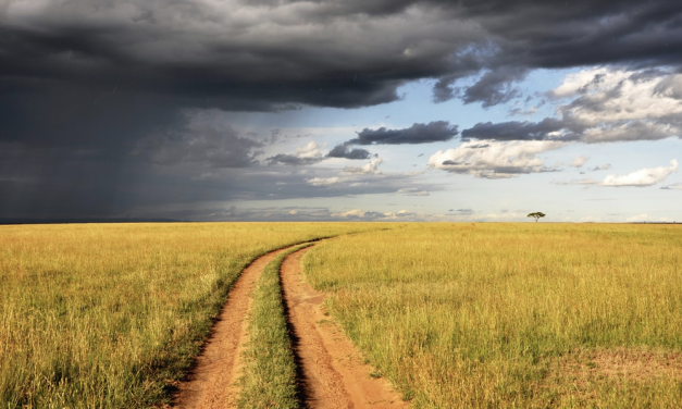 A Road Less Traveled