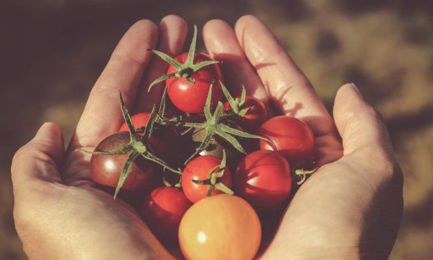 Lessons in Gardening
