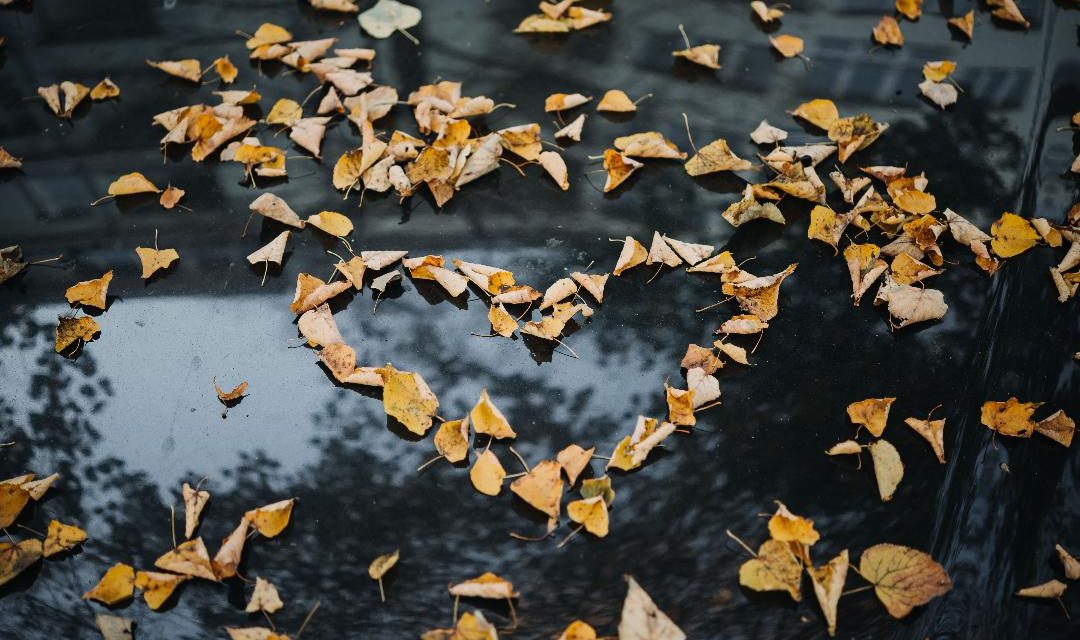 Enjoy Every Season of Your ‘Happily Ever After’