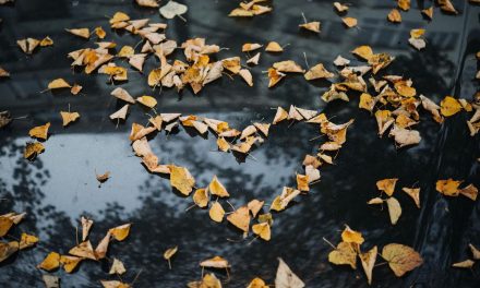 Enjoy Every Season of Your ‘Happily Ever After’