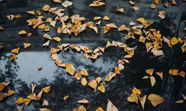 Enjoy Every Season of Your ‘Happily Ever After’