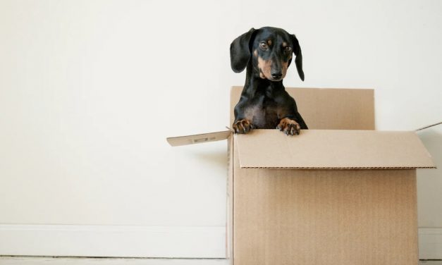 Moving Across Country, Anyone?