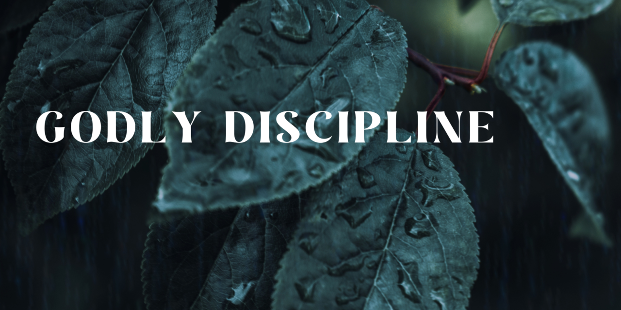 Navigating Boundaries With Electronics: A Journey in Godly Discipline