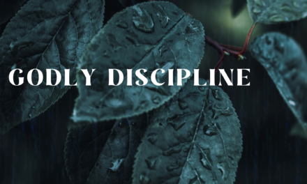 Navigating Boundaries With Electronics: A Journey in Godly Discipline